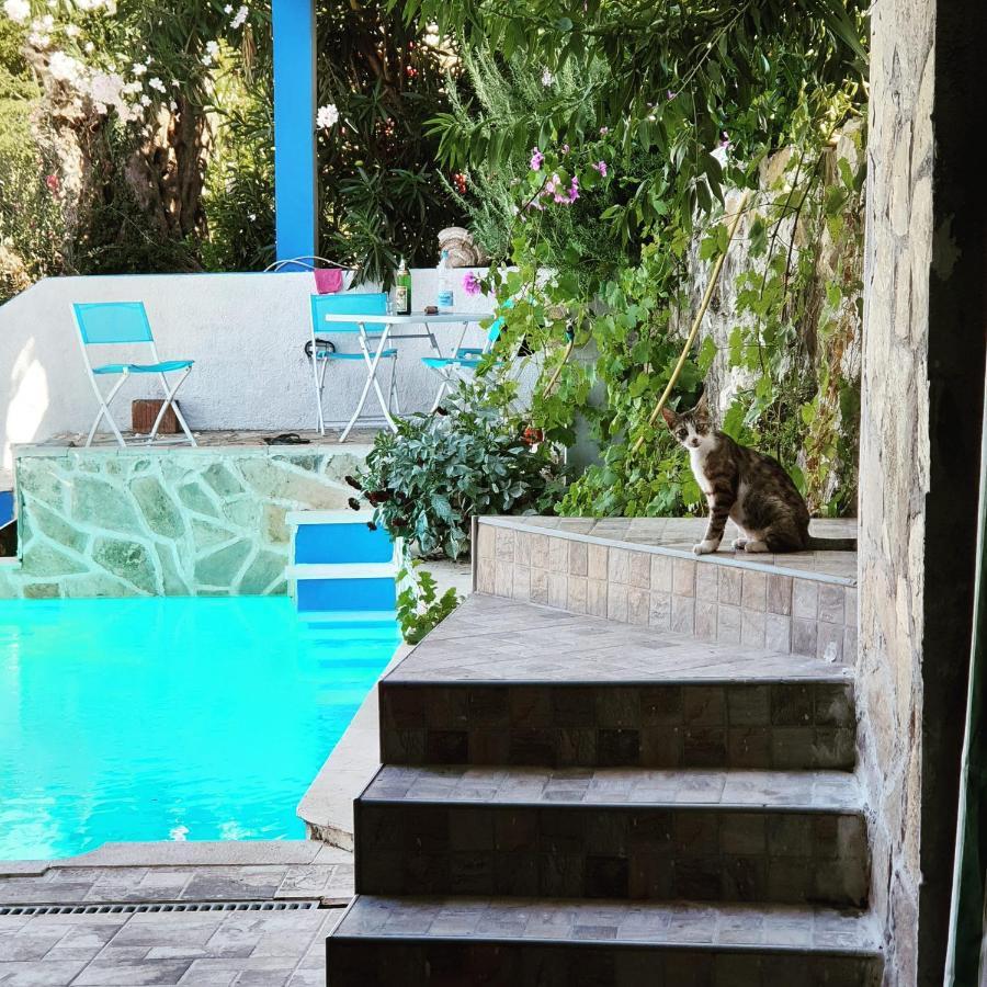 Apartment Bradex Dreams Bečići Esterno foto